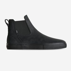 Dover II - Black Crazyhorse